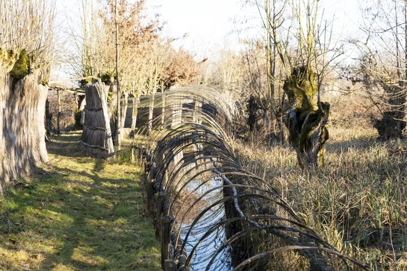 schermafbeelding 2023 03 11 om 135842