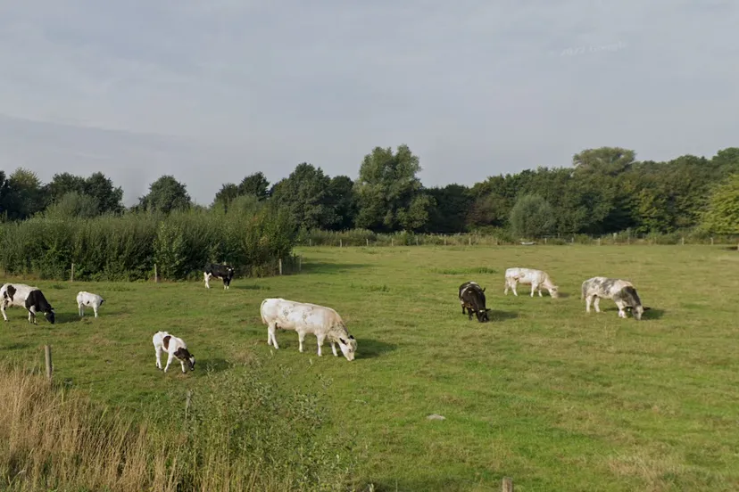 schermafbeelding 2023 06 13 om 140549