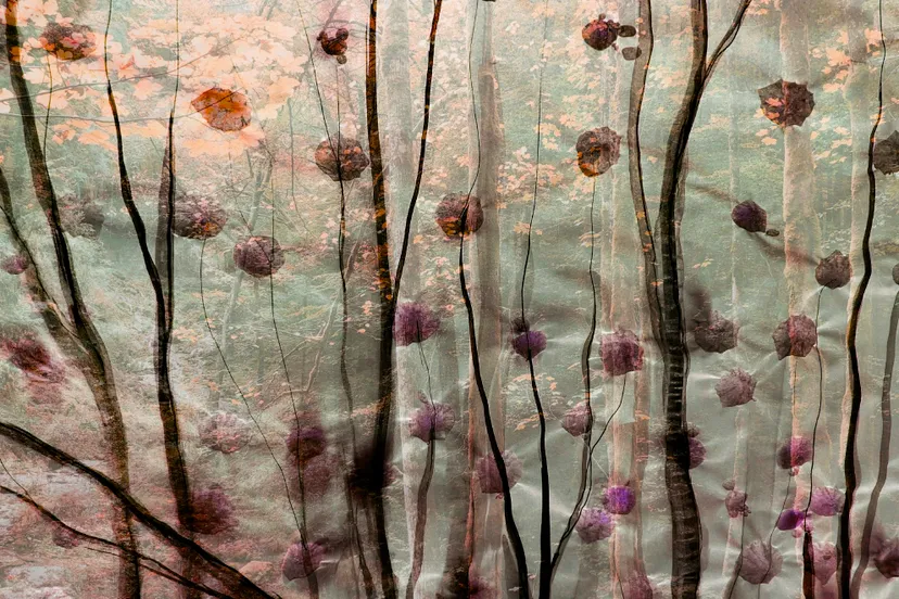 schermafbeelding 2023 07 31 om 160818