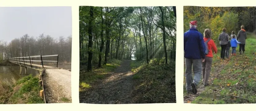 schermafbeelding 2023 09 14 om 181157