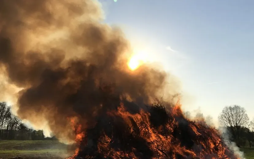 screenshot 20220415 111143 915x518 1