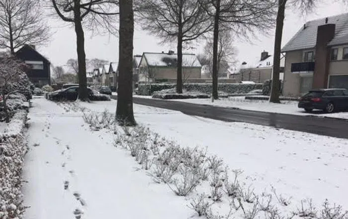 sneeuw 111217 02