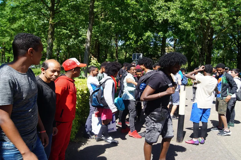 stingting elanart 0001 0001