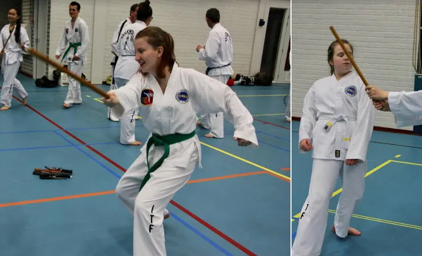 taekwon do academie taekyon alverna 05