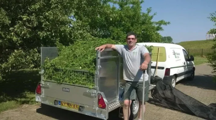 taxus taxi