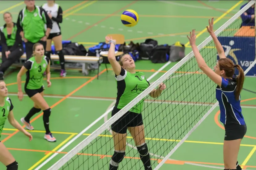 trivos 251117 nienke visser