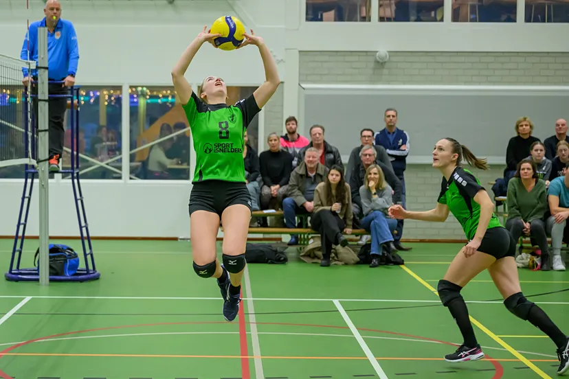 trivos d1 vocasa d2 011