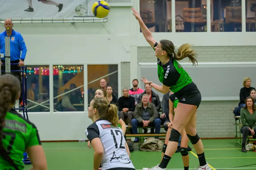 trivos d1 vocasa d2 031