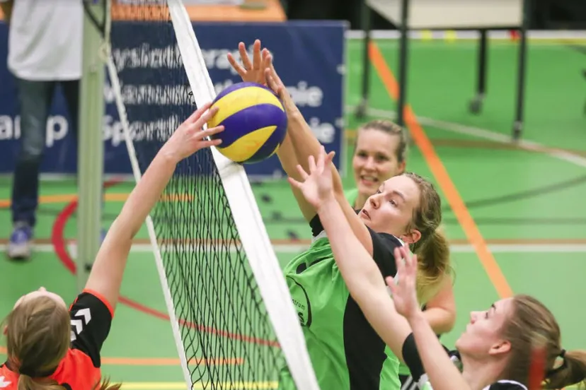 trivos voorwaarts 01