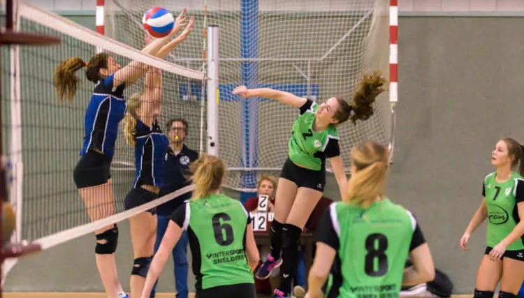 trivosdames 170318 00