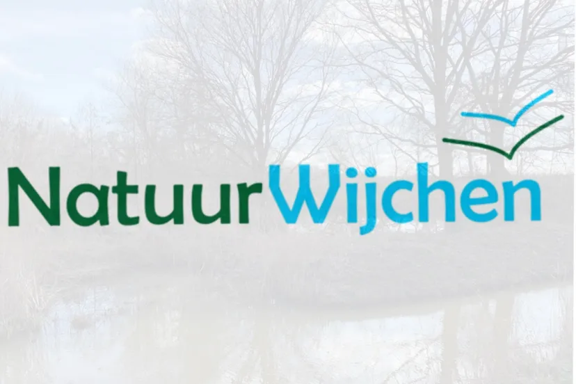 trtrrtrtcollage fotor1