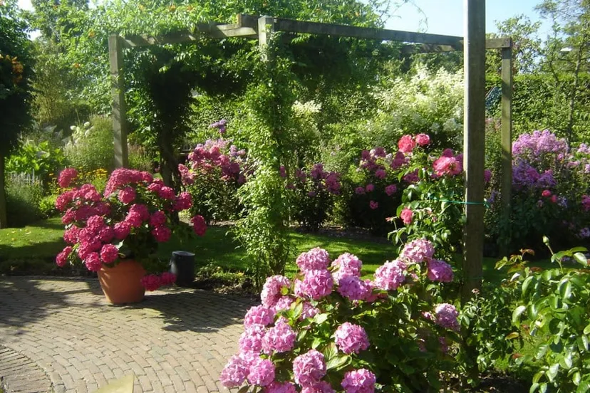 tuinen groei en bloei