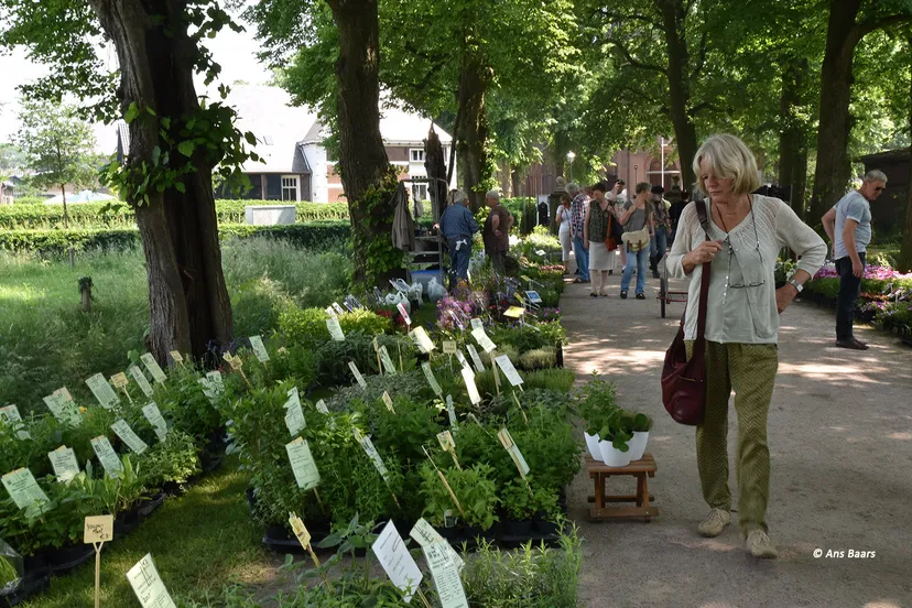 tuinmarkt hernen 2016 39