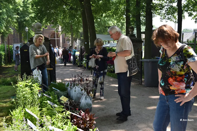 tuinmarkt hernen 2016 42