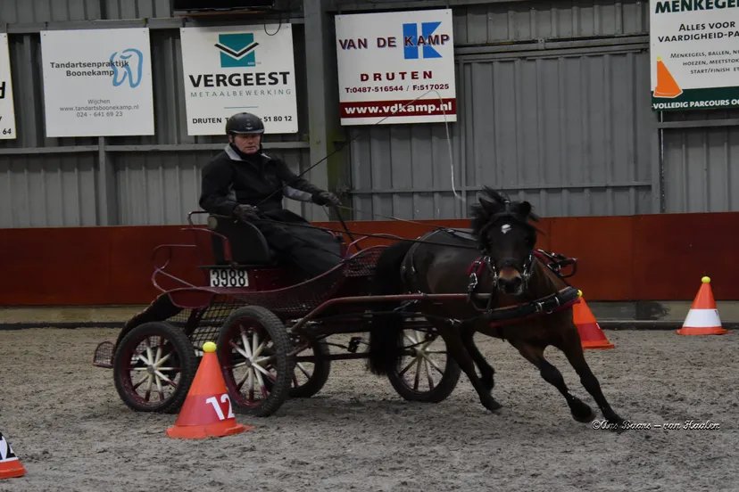 vap land van maas en waal dresseur vaardigheden 0035 0035 0035