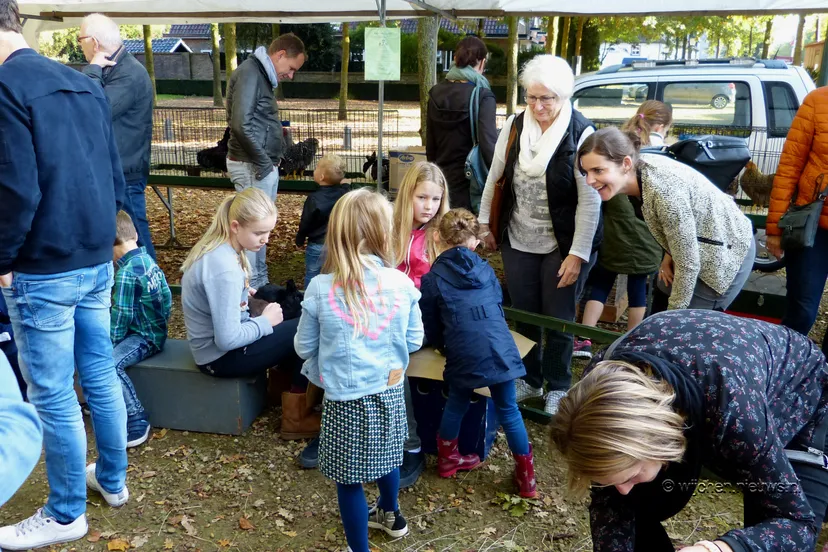 veemarkt wijchen 20170049