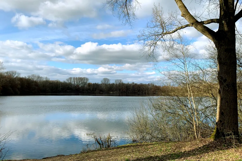 vormerse plas cizo img 7586 fotor