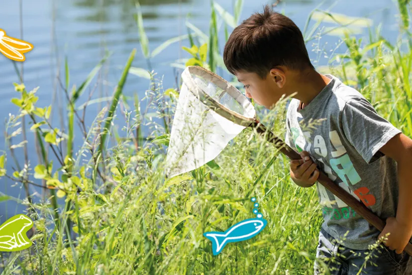 waterkwaliteit ivn nederland