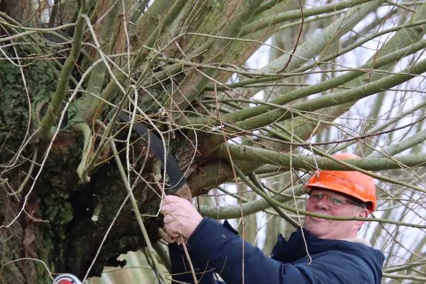wethouder twan van bronkhorst