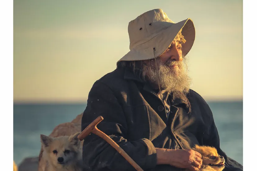 where are you adam foto