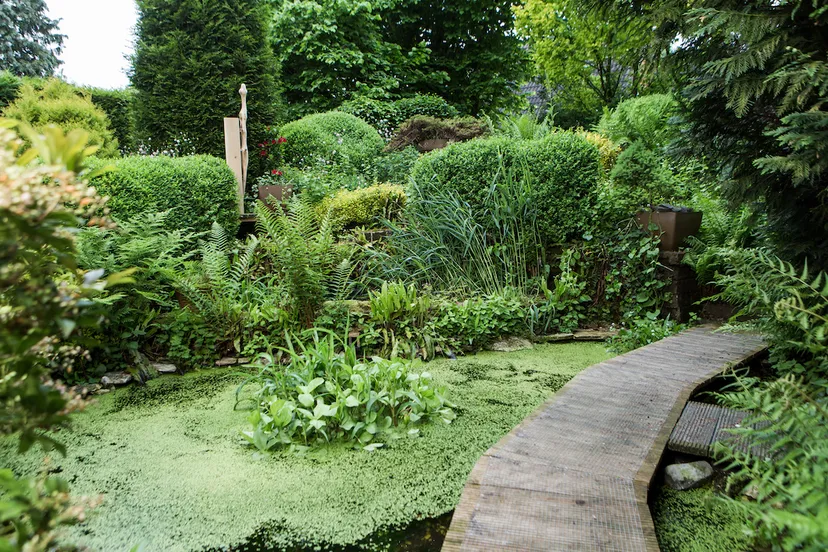 wijchen tuin de groenling foto 3