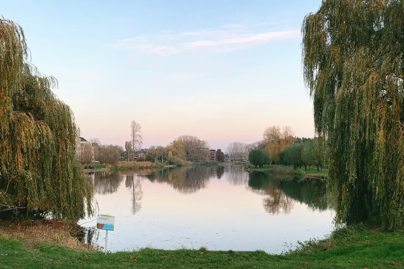 wijchens meer img 6325 fotor