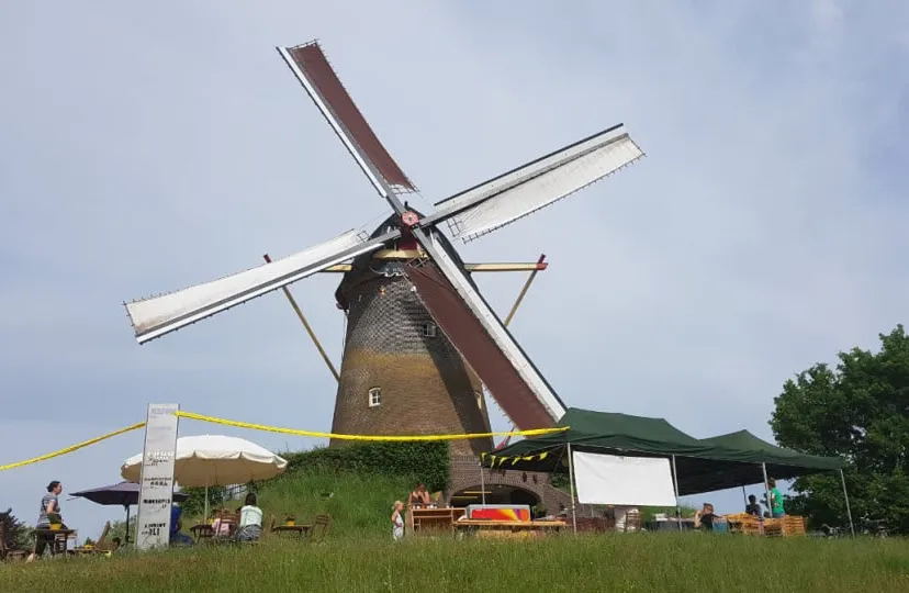 wijchense molen 03051901