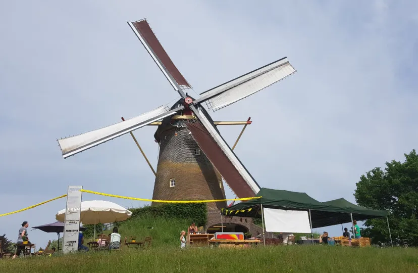 wijchense molen 03051901
