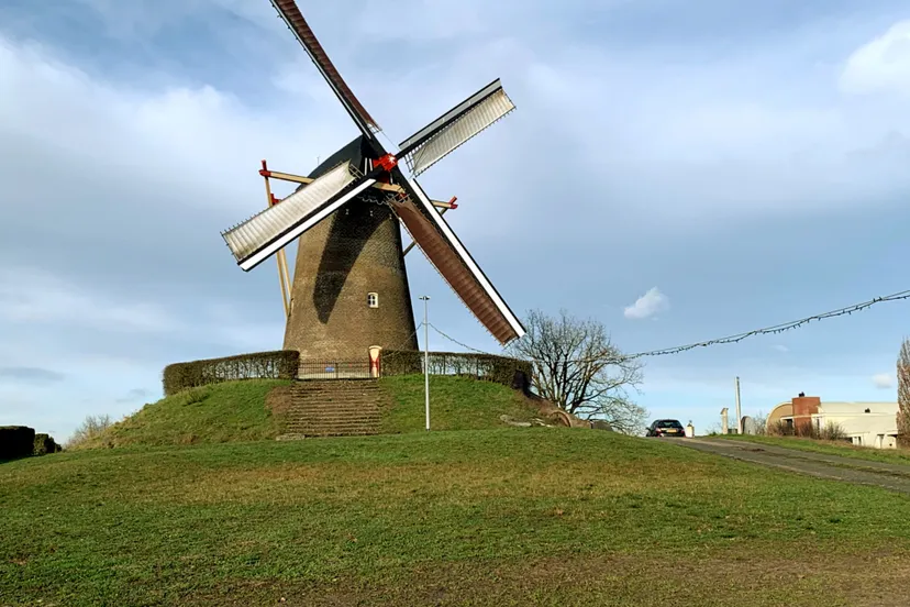 wijchense molen cizo