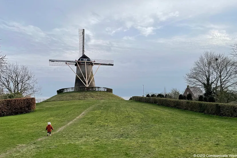 wijchense molen cizo