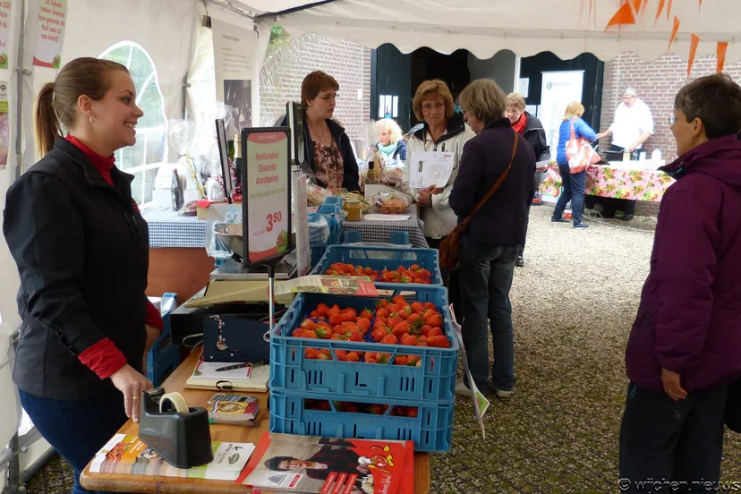 wijchense molendag 2015