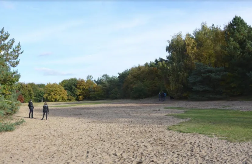 zondagochtendwandeling bergharen hans hengeveld