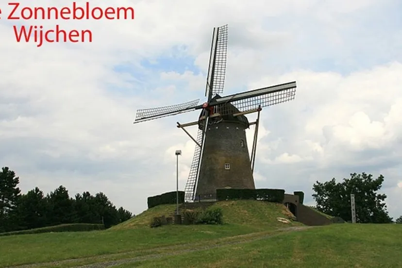 zonnebloem afdeling wijchen