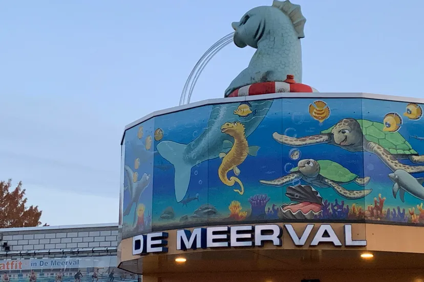 zwembad meerval img 6328