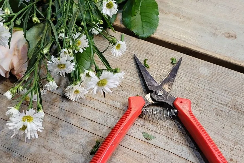 flowers 7347145 1280