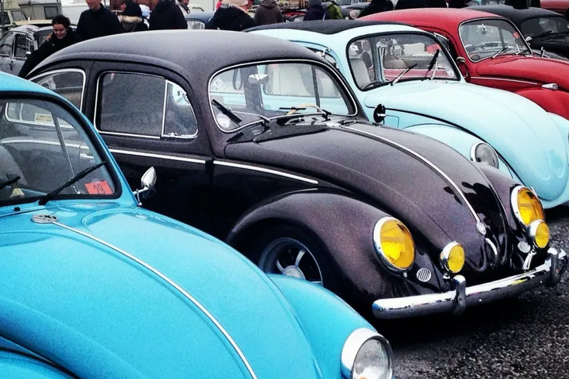 vw beetle 375665 19201