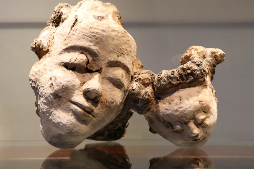 schermafbeelding 2024 10 28 om 113020