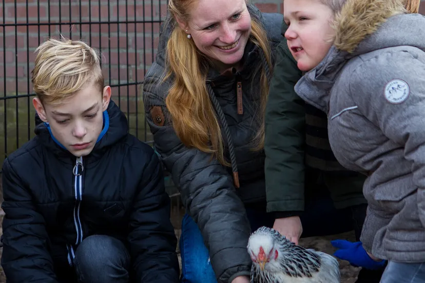 schermafbeelding 2024 11 27 om 111944