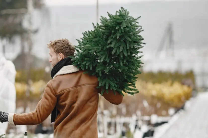 schermafbeelding 2024 12 30 om 152011