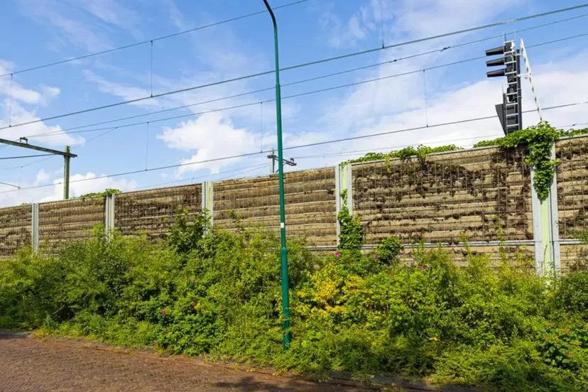 geuidsscherm prorail