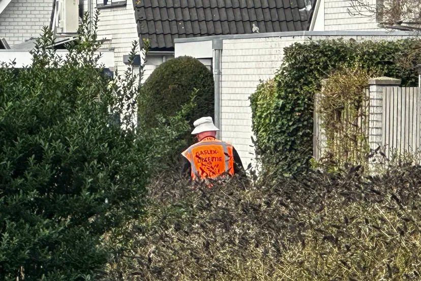 schermafbeelding 2025 03 25 om 113450