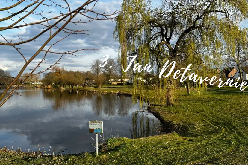 foto meerkunst jan detavernier