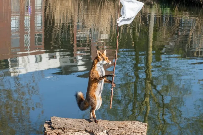 schermafbeelding 2025 06 08 om 134616