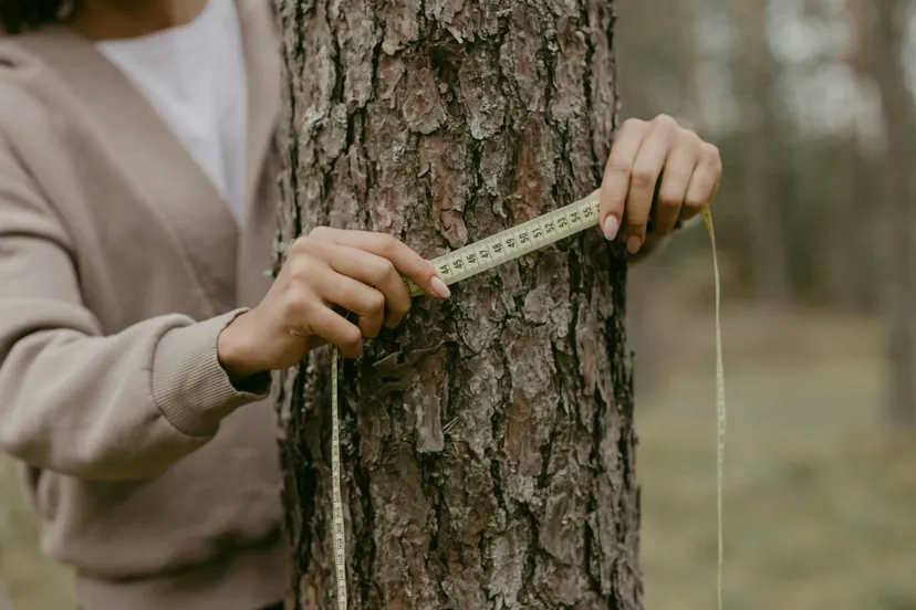 schermafbeelding 2025 06 12 om 105957