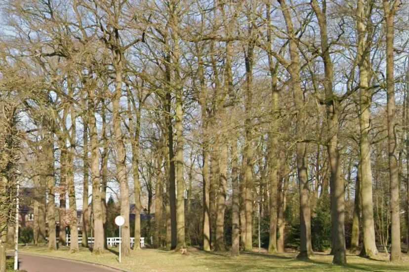 Scherm­afbeelding 2025-07-16 om 16.39.51