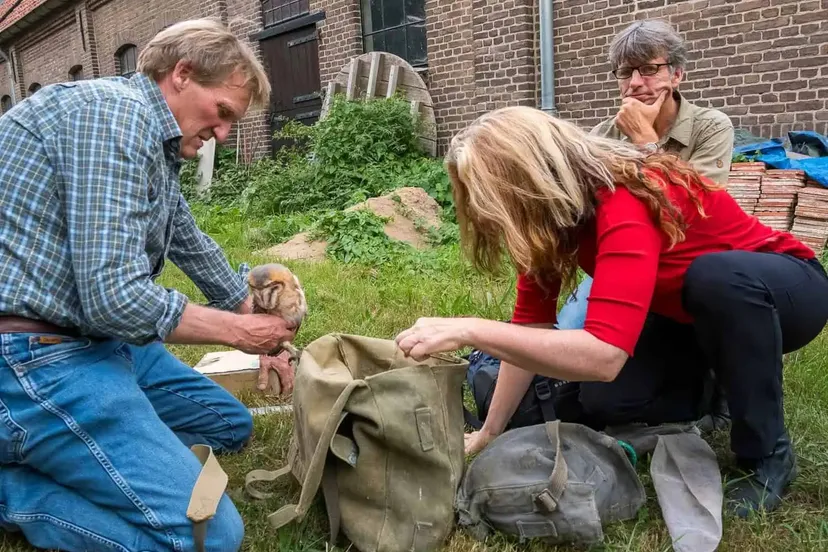 kerkuilen-ringen-vormer-4