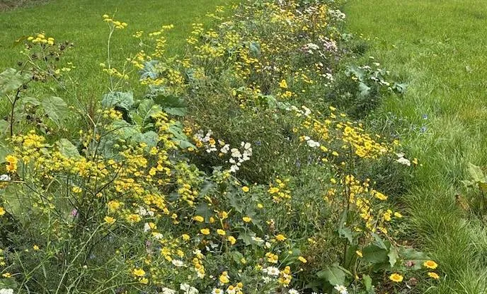 Scherm­afbeelding 2025-12-10 om 23.34.59