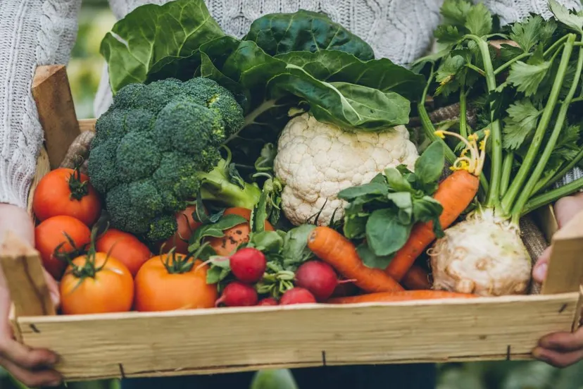 Scherm­afbeelding 2026-03-12 om 14.25.34