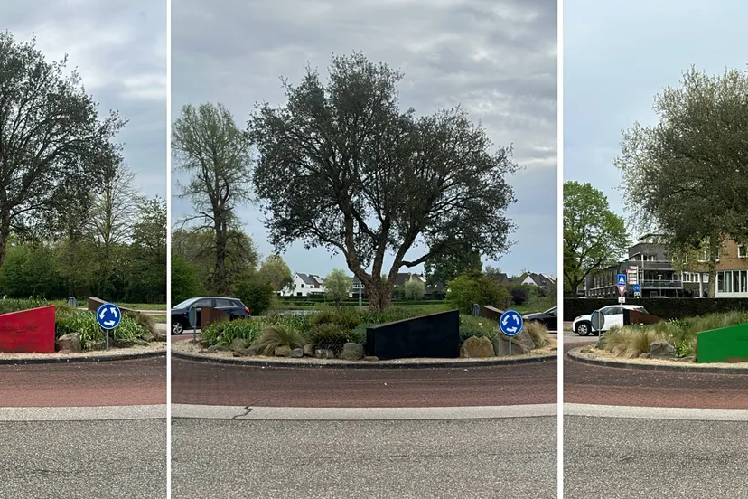 Rood Zwart en GroenXpert