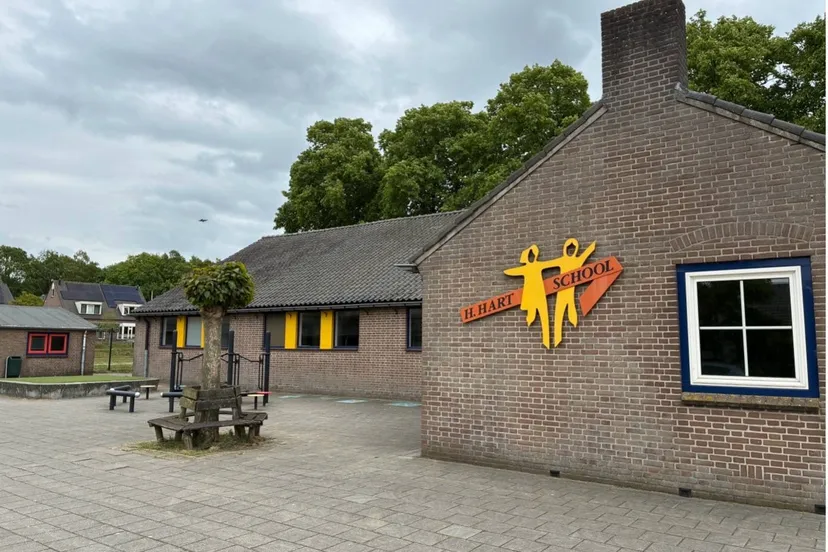 eerste stap hernen Afbeelding1